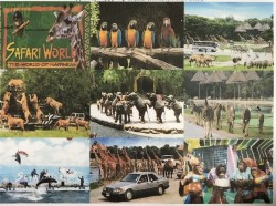 จอง 1 ชม. ซาฟารีเวิลด์ Safari World